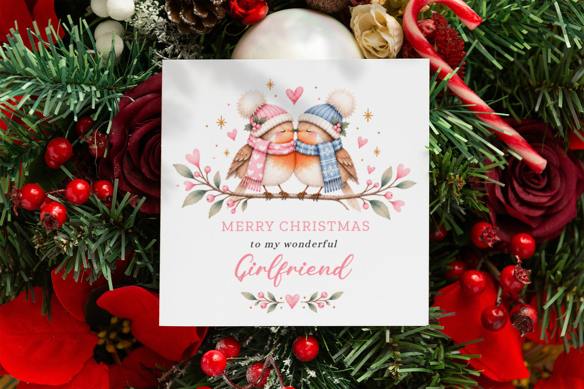Cute Robin Christmas Card for Girlfriend – Merry Christmas to My Wonderful Girlfriend
